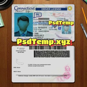 Editable blank Connecticut drivers license template PSD