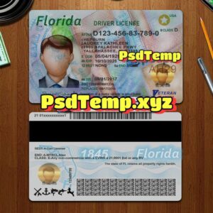 Editable blank Florida drivers license template PSD