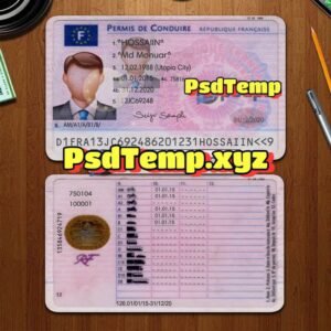 Editable blank France drivers license template PSD