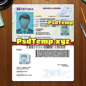 Editable blank Montana drivers license template PSD