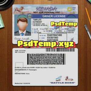 Editable blank Nevada drivers license template PSD